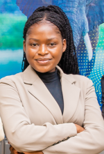 Sales and Ticketing Executive